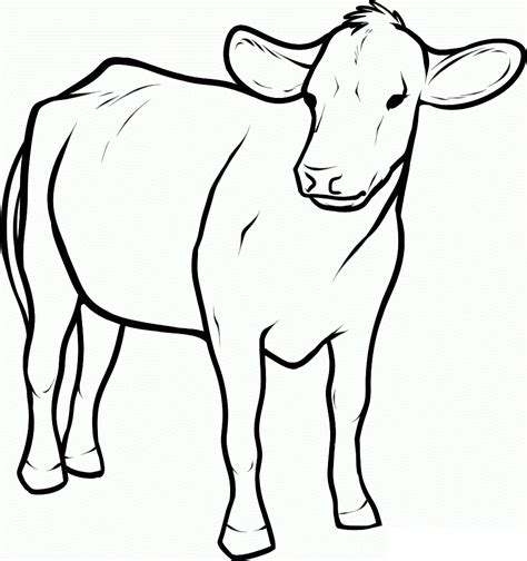 Cow Outline Printable